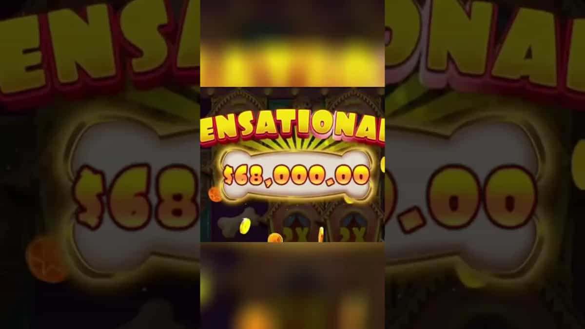 The Dog House: $344,550 MEGA WIN on Pragmatic Play!