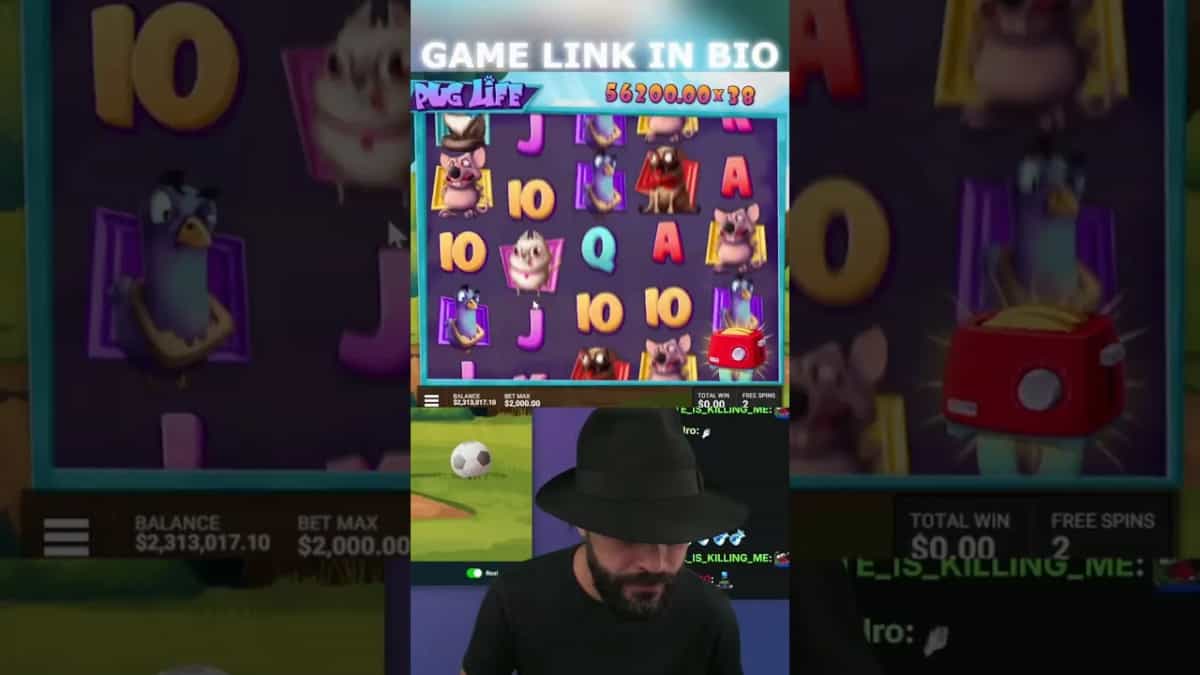 Pug Life Slot: Hilarious Bonus Round with a HUGE 500x Win!