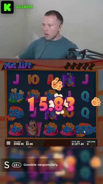 Pug Life 2521x Multiplier: Bonus Feature Big Win