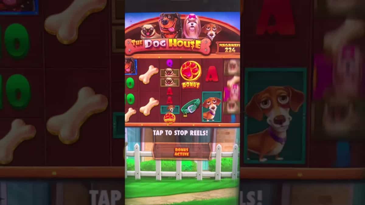 The Dog House Megaways: ¡Una emocionante aventura con Bonus Buy!