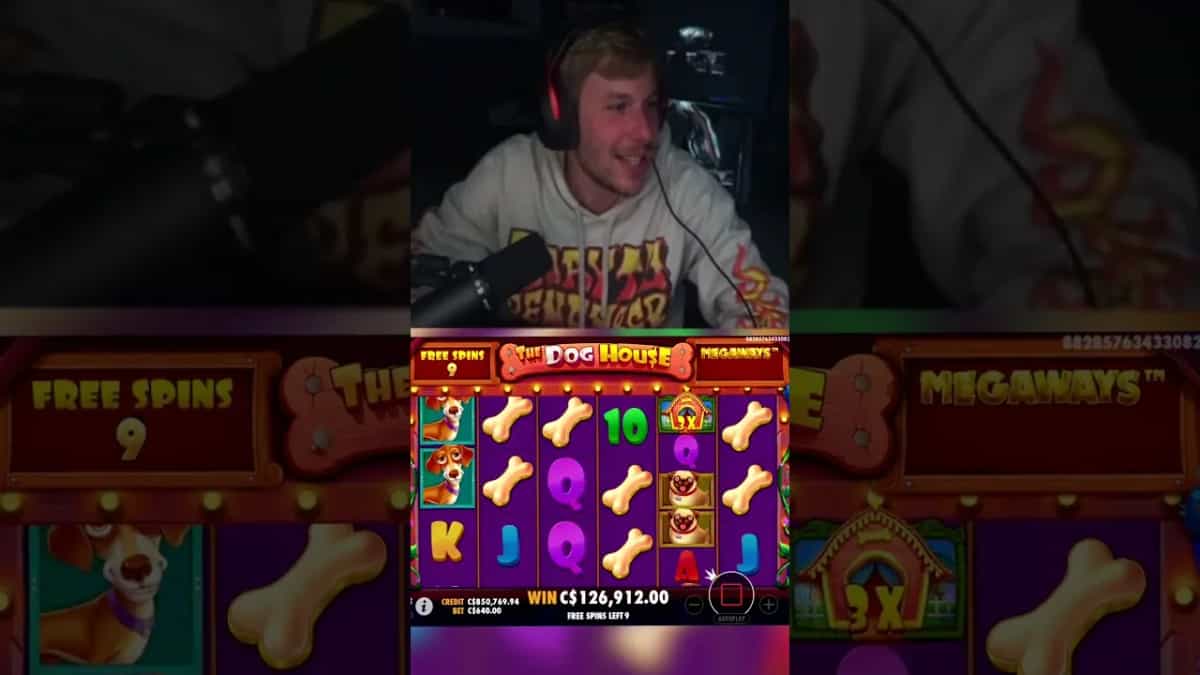 Dog House Megaways: Pragmatic Play - 217x Win with Wilds!